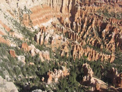 Bryce / Zion Tour photo 13