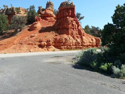Bryce / Zion Tour photo 42